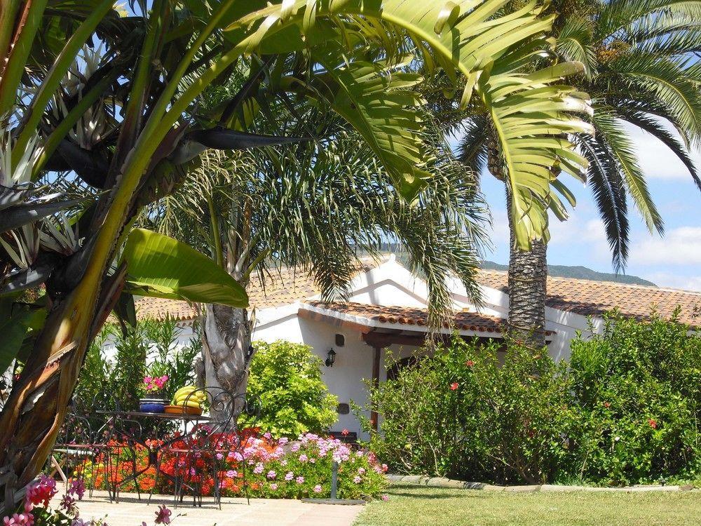Tejina Finca El Picacho Apartments In The Countryside 2 Km From The Beach מראה חיצוני תמונה