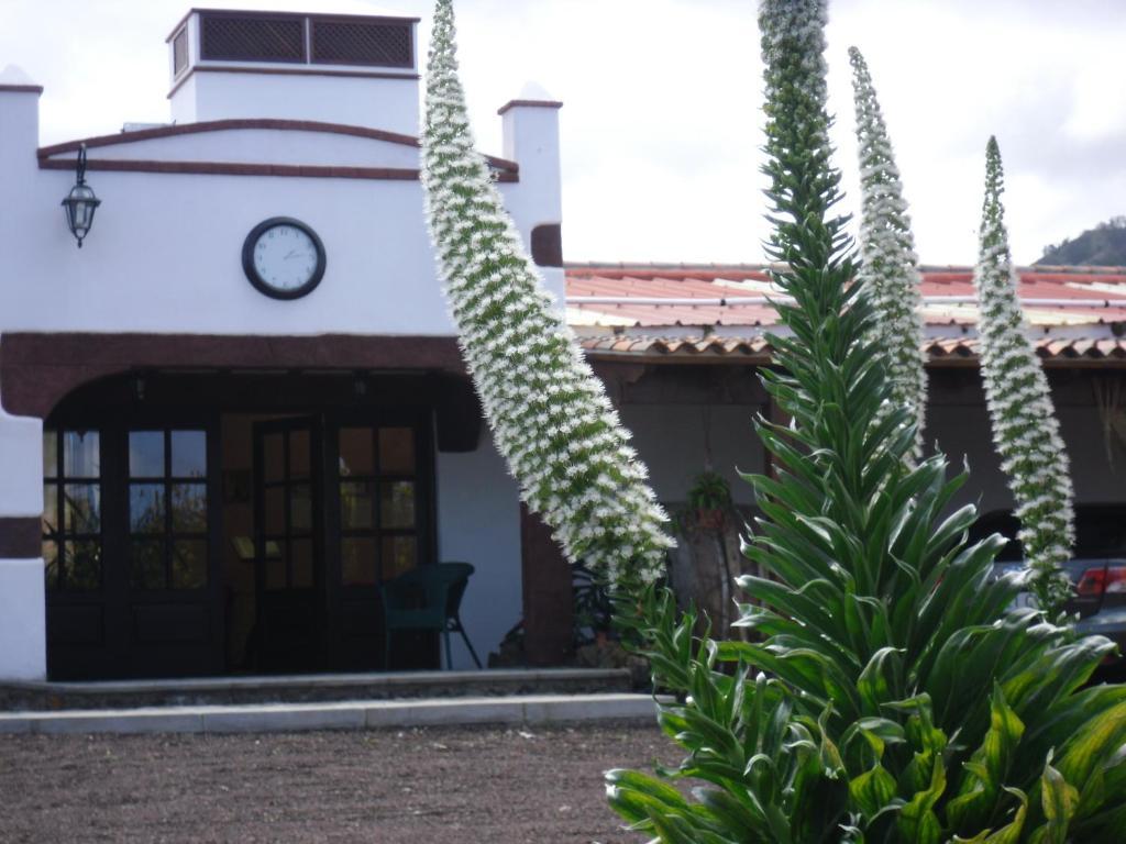 Tejina Finca El Picacho Apartments In The Countryside 2 Km From The Beach מראה חיצוני תמונה