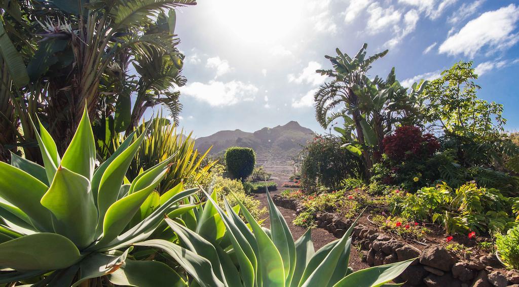 Tejina Finca El Picacho Apartments In The Countryside 2 Km From The Beach חדר תמונה